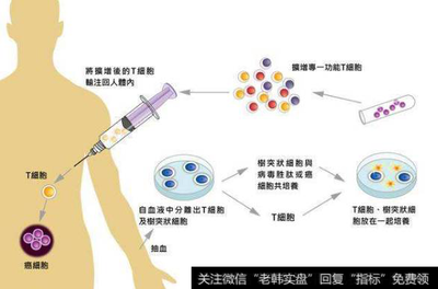 免疫療法新突破 CAR-T與干細胞技術催生投資新機遇